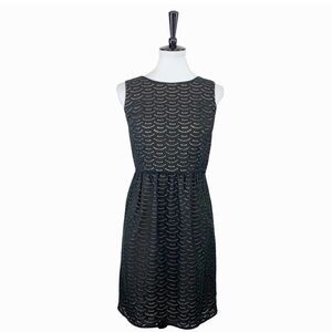 LOFT • Black Scallop Illusion Eyelet/Lace Dress • 6
